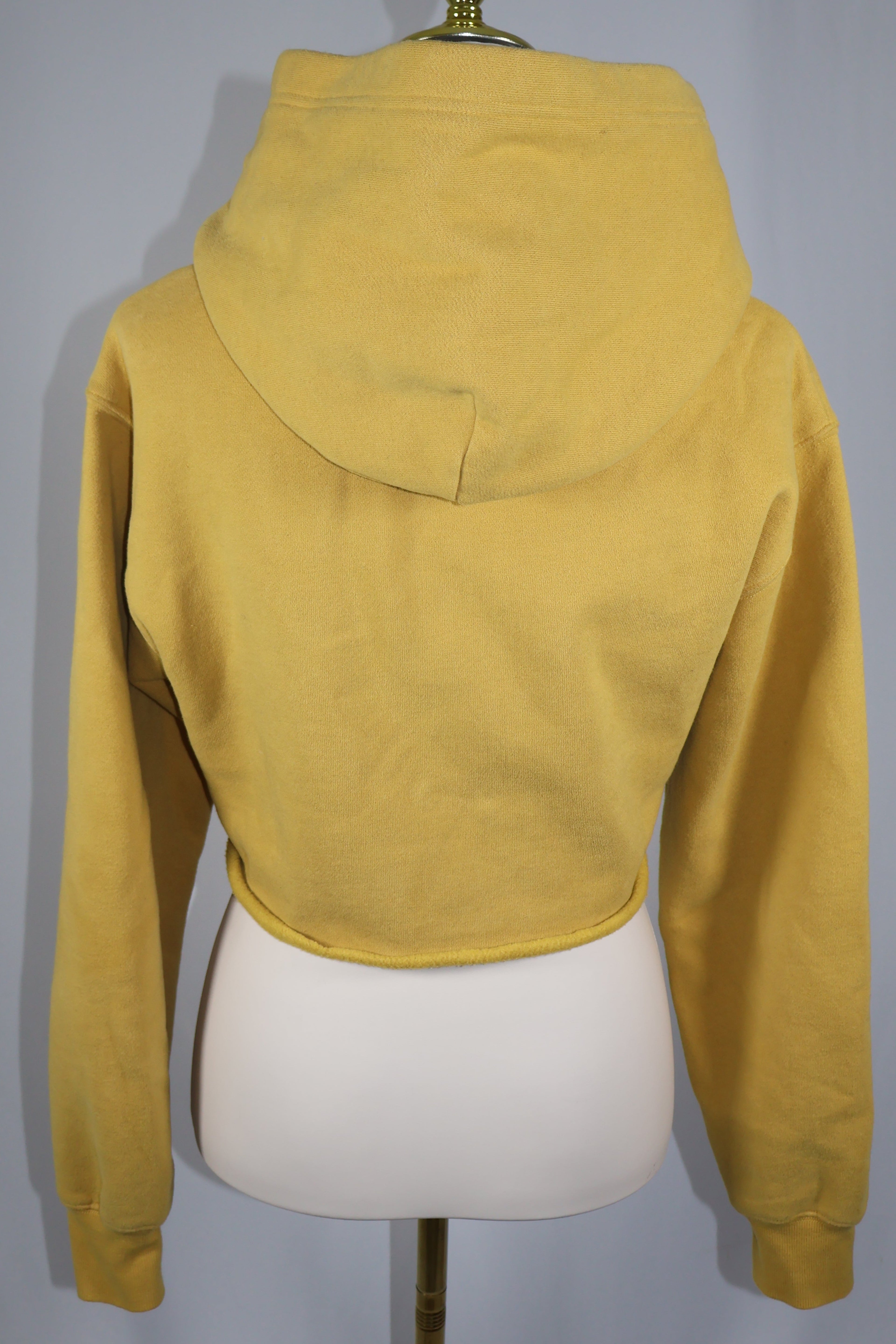 Aritzia Tna Perfect Crop Hoodie in Cairo Gold / Size S